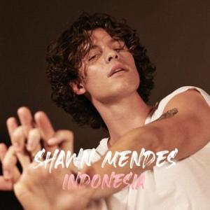 Shawn Mendes Indonesia